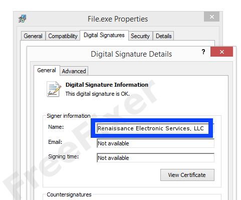 Screenshot of the Renaissance Electronic Services, LLC certificate